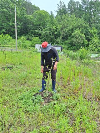 창열님의 기타작물 · 영농일지 작성글 사진
