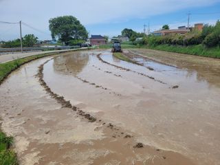 김응택님의 벼 · 영농일지 작성글 사진