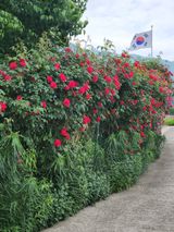 팜모닝 감·영농일지 게시글 이미지