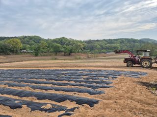 왕초보님의 기타작물 · 영농일지 작성글 사진