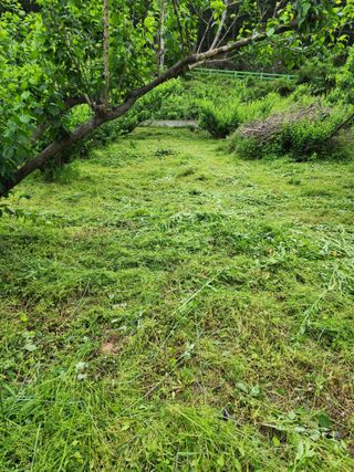 밀양달콤팜님의 기타작물 · 영농일지 작성글 사진