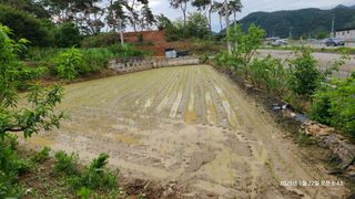 삼신령님의 벼 · 영농일지 작성글 사진