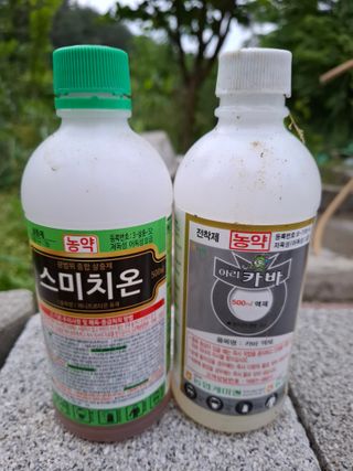 주재필님의 작성글 사진