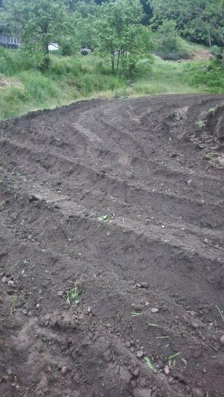 남상호 님의 콩 · 영농일지 작성글 사진