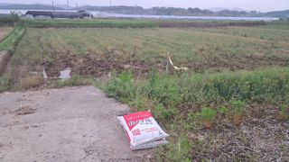 장원팜님의 벼 · 영농일지 작성글 사진