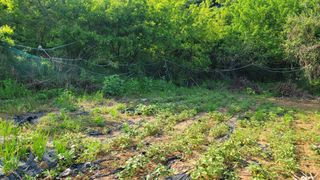 양배추21556님의 기타작물 · 영농일지 작성글 사진