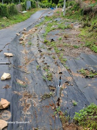 이세순님의 기타작물 · 영농일지 작성글 사진