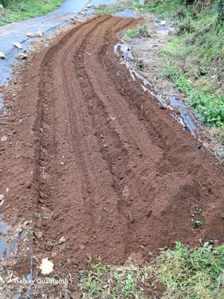 이세순님의 기타작물 · 영농일지 작성글 사진