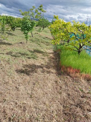 상추20832님의 기타작물 · 영농일지 작성글 사진