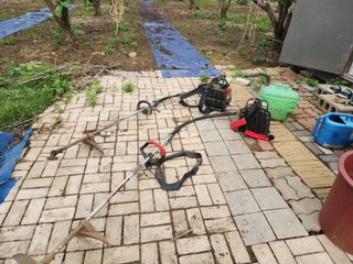 대운농원님의 기타작물 · 영농일지 작성글 사진