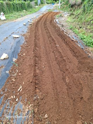 이세순님의 기타작물 · 영농일지 작성글 사진