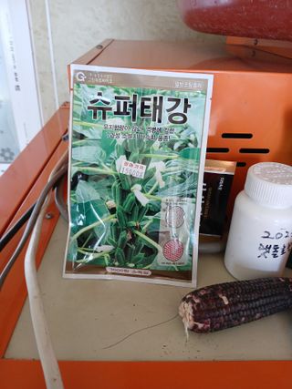 백영호님의 참깨 · 영농일지 작성글 사진