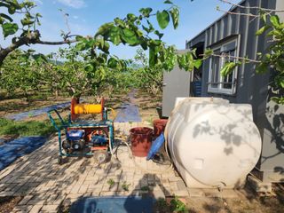 대운농원님의 기타작물 · 영농일지 작성글 사진