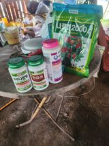 팜모닝 배·영농일지 게시글 이미지