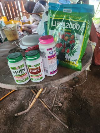 조재홍님의 배 · 영농일지 작성글 사진