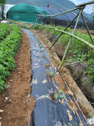 성훈농장님의 기타작물 · 영농일지 작성글 사진