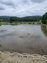 팜모닝 기타작물·영농일지 게시글 이미지