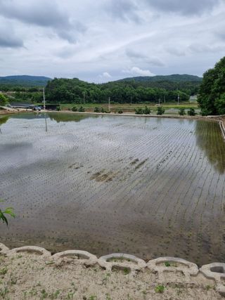 자두7424님의 기타작물 · 영농일지 작성글 사진