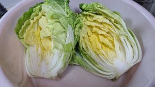 김지철님의 배추 · 영농일지 작성글 사진