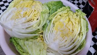 김지철님의 배추 · 영농일지 작성글 사진