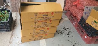 박상중님의 참깨 · 영농일지 작성글 사진