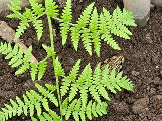 공주유구 구계박만호님의 기타작물 · 영농일지 작성글 사진