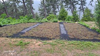 서인덕님의 기타작물 · 영농일지 작성글 사진