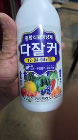 팜모닝 고추·영농일지 게시글 이미지