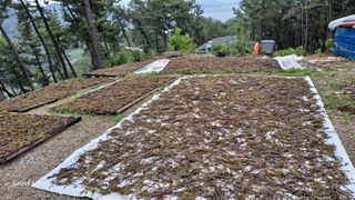 서인덕님의 기타작물 · 영농일지 작성글 사진