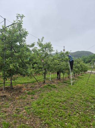 바람소리님의 기타작물 · 영농일지 작성글 사진