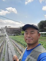 팜모닝 고추·영농일지 게시글 이미지