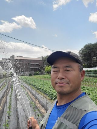 정지덕님의 고추 · 영농일지 작성글 사진