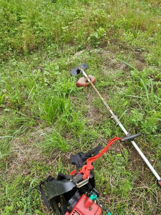 매실향기차향기님의 매실 · 영농일지 작성글 사진