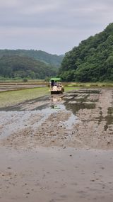 팜모닝 기타작물·영농일지 게시글 이미지