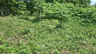 수기님의 기타작물 · 영농일지 작성글 사진