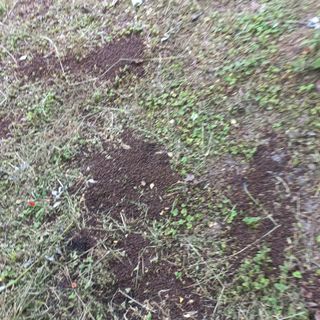 김건우님의 기타작물 · 영농일지 작성글 사진