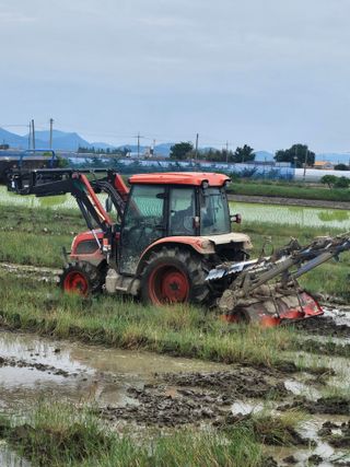 메추라기님의 기타작물 · 영농일지 작성글 사진