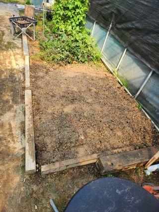 김진영님님의 양파 · 영농일지 작성글 사진