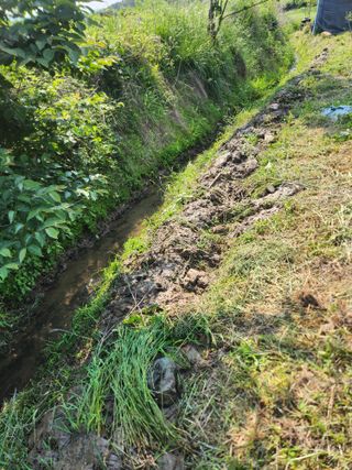 김진영님님의 양파 · 영농일지 작성글 사진