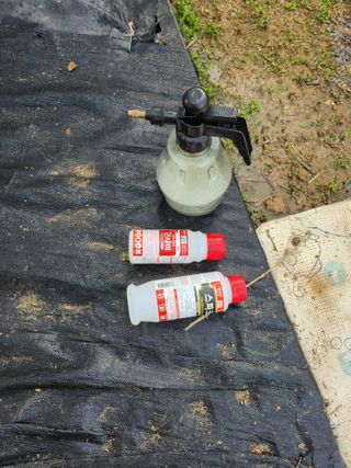 김진영님님의 양파 · 영농일지 작성글 사진