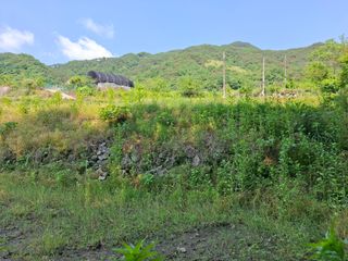 김광자님의 기타작물 · 영농일지 작성글 사진