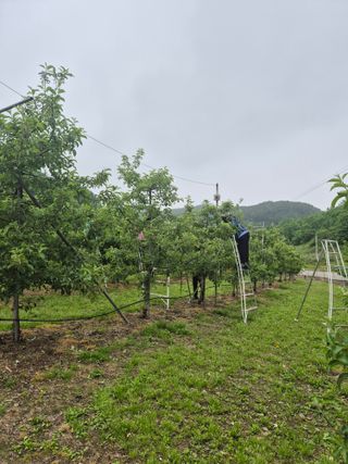 바람소리님의 기타작물 · 영농일지 작성글 사진