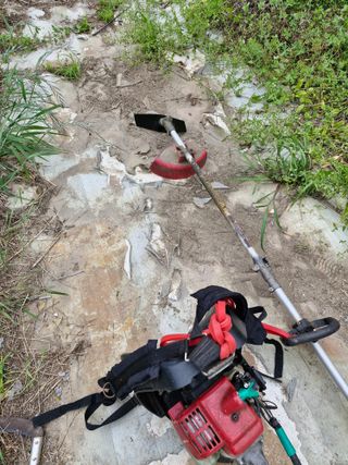 매실향기차향기님의 매실 · 영농일지 작성글 사진