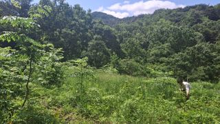 수기님의 기타작물 · 영농일지 작성글 사진