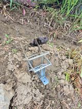 팜모닝 기타작물·영농일지 게시글 이미지