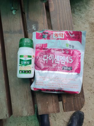 오경님의 감자 · 영농일지 작성글 사진