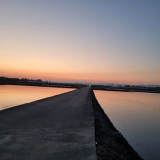 백현호님의 벼 · 영농일지 작성글 사진