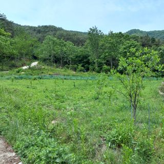 김건우님의 기타작물 · 영농일지 작성글 사진