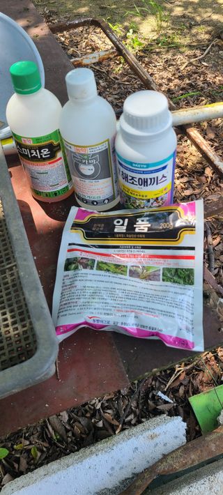 AlexLee님의 기타작물 · 영농일지 작성글 사진