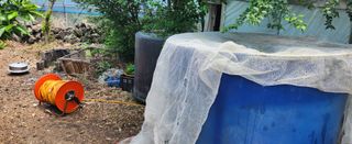 김형철님의 귤 · 영농일지 작성글 사진